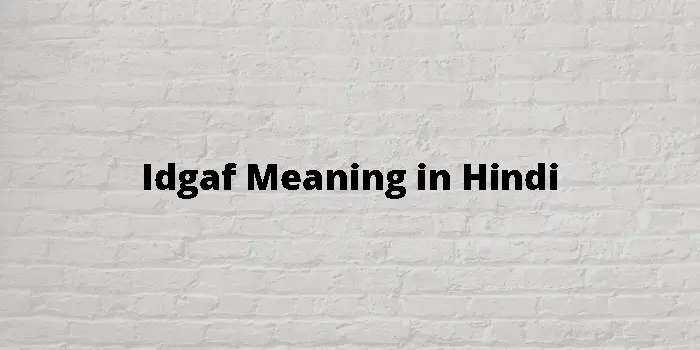 IDGAF Meaning in Hindi