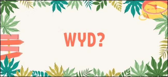 WYD Full Form